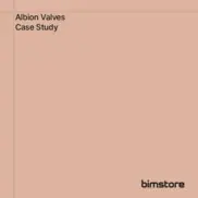 Preview of the Albion Valves Case Study