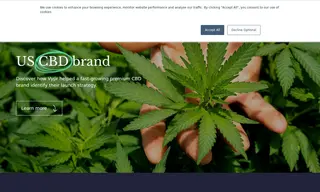 Preview of the US CBD brand Case Study