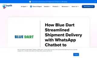 Preview of the Blue Dart Case Study
