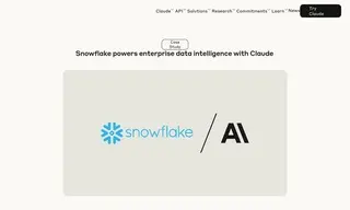 Preview of the Snowflake﻿ Case Study