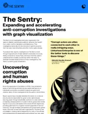 Preview of the The Sentry Case Study