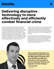 Preview of the Deloitte Case Study