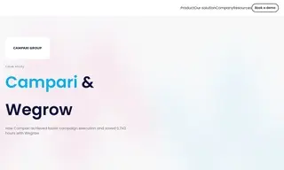 Preview of the Campari Group Case Study