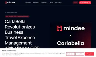 Preview of the Carlabella Case Study