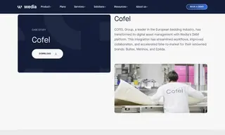 Preview of the COFEL Group Case Study