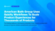 Preview of the American Bath Group Case Study