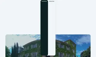 Preview of the Christian Dior Case Study
