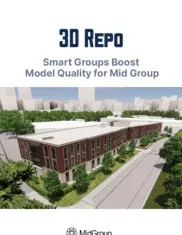 Preview of the Mid Group Case Study