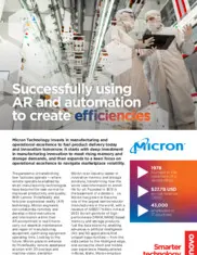 Preview of the Micron Case Study
