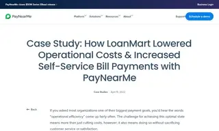 Preview of the LoanMart Case Study