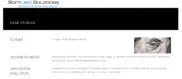 Preview of the Major Financial Organization Case Study
