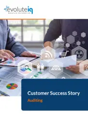 Preview of the Prominent International Audit Company Case Study