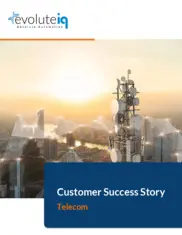 Preview of the Leading Telecom Company Case Study