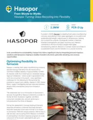 Preview of the Hasopor Case Study