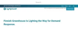 Preview of the Electricity Distribution Company Case Study