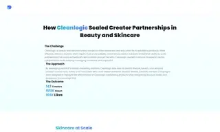 Preview of the Cleanlogic Case Study