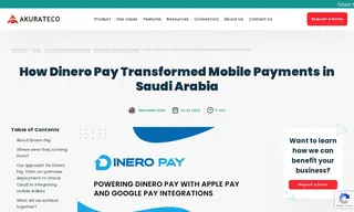 Preview of the Dinero Pay Case Study