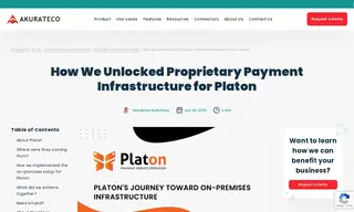 Preview of the Platon Payment Service Provider Case Study