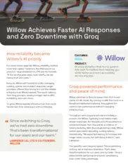 Preview of the Willow Case Study