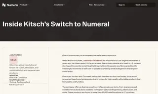 Preview of the Kitsch Case Study