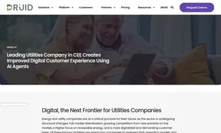 Preview of the Leading Utilities Company Case Study