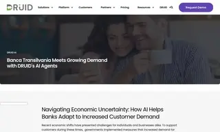 Preview of the Banca Transilvania Case Study