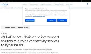 Preview of the e& (etisalat and) Case Study