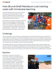 Preview of the Brunei Shell Petroleum Company Case Study