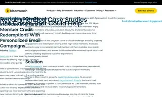 Preview of the Ana Luisa Case Study