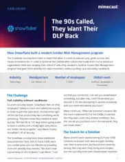 Preview of the Snowflake Case Study