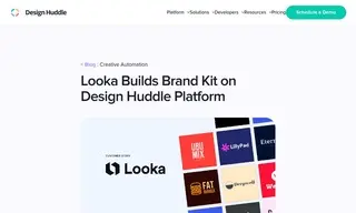 Preview of the Looka Case Study