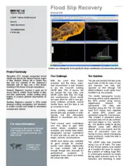Preview of the MWH NZ Ltd Case Study