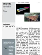 Preview of the Tatras Consulting Case Study