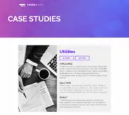 Preview of the Large Utilities Company Case Study