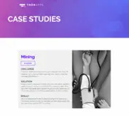 Preview of the Large Mining Company Case Study
