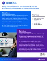 Preview of the Large Financial Services Provider Case Study