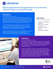 Preview of the Large Retail Company Case Study