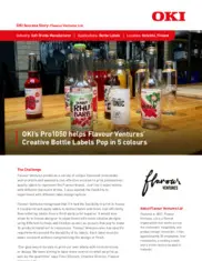 Preview of the Flavour Ventures Case Study
