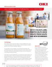 Preview of the enVie Case Study