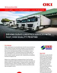 Preview of the SUSA S.p.A. Case Study
