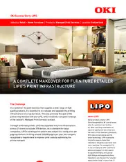 Preview of the LIPO Einrichtungsmärkte AG Case Study