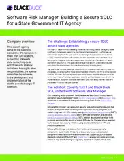 Preview of the State Government IT Agency Case Study