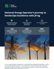 Preview of the National Energy Operator Case Study