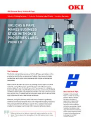 Preview of the Urlichs & Pape Case Study