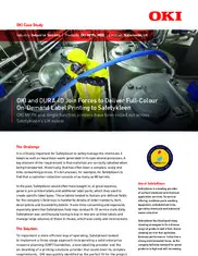 Preview of the Safetykleen Case Study