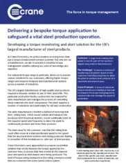 Preview of the Large Steel-Making Plant Case Study