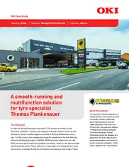 Preview of the Thomas Plankenauer GmbH Case Study
