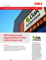 Preview of the Oak Furniture Land Case Study
