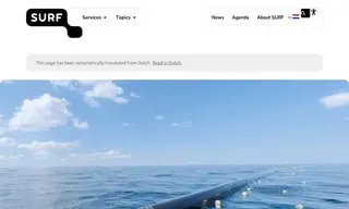 Preview of the The Ocean Cleanup Case Study