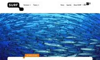 Preview of the IMARES Case Study